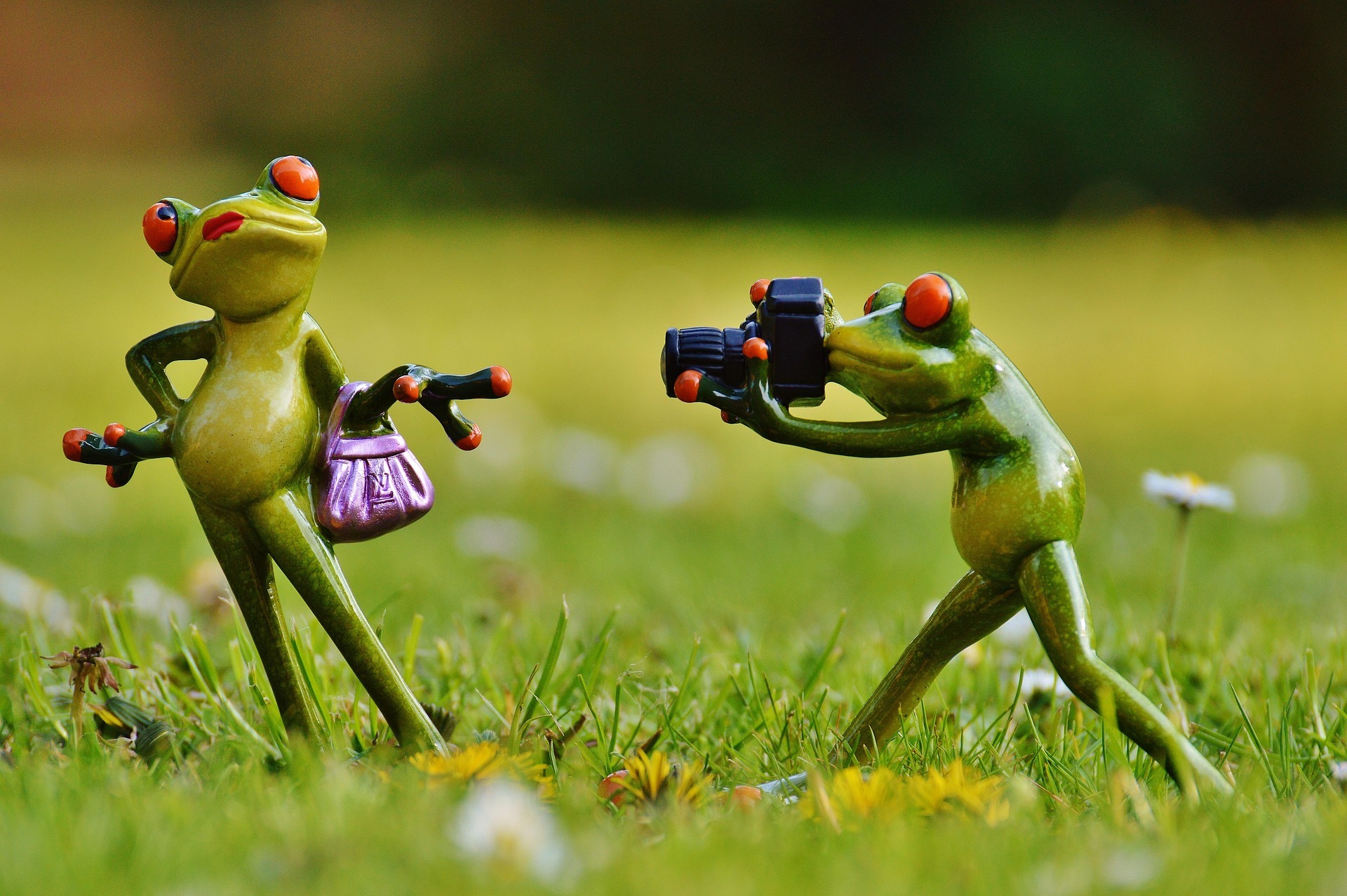 Photographie de deux figurines grenouilles anthropomorphiques dans un jardin. La grenouille de gauche a une allure féminine avec son rouge à lèvres et son sac à main violet. La grenouille de droite porte un gros appareil photo bridge et cadre l'autre grenouille, ce qui représente une scène de shooting assez amusante.
